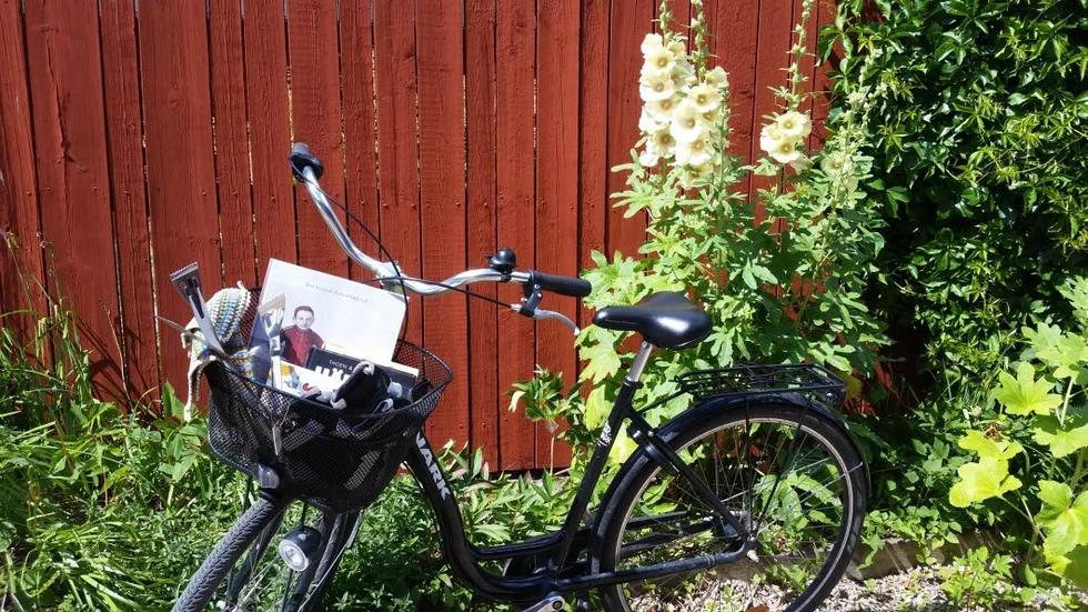 Cykelkorgsloppis på Hunnebergsgatan.