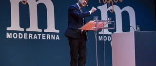 Catarina Kärkkäinen: Idéernas tid är nu