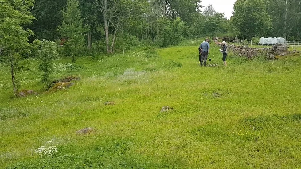 I en grönskande hage ett 50-tal meter från boningshuset finns Ewa Bärlunds enskilda avloppsanläggning.