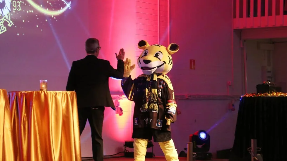 High five, tiger...