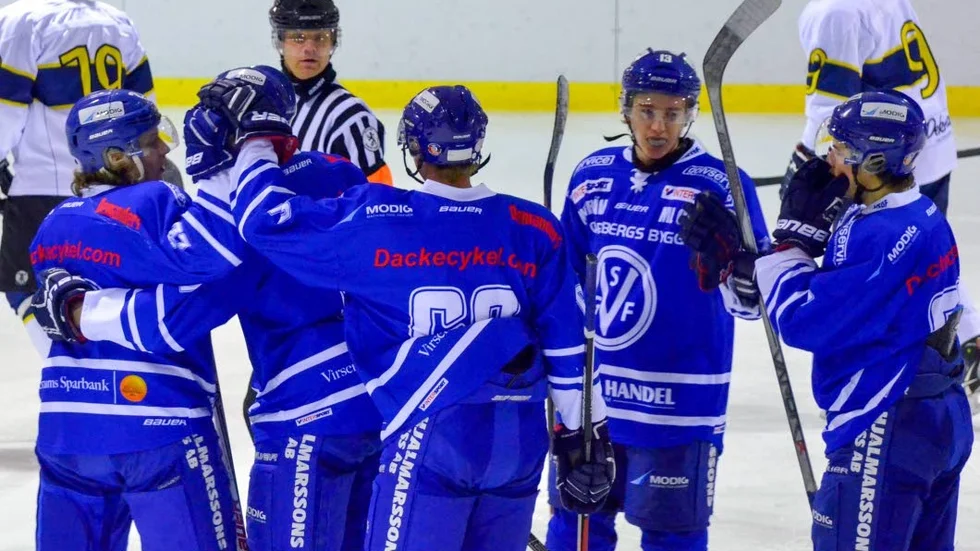 VSGF har presenterat sitt fjärde nyförvärv inför säsongen i Hockeytrean.