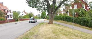 De vill inte ha höga hus bland villor