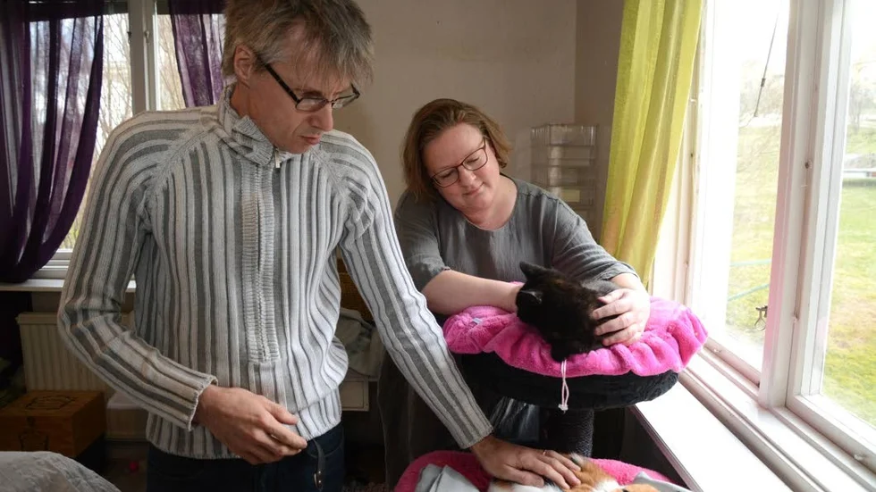 Patrik och Annica Hillberg låter katterna vara i ett av familjens sovrum så att de lättare vänjer sig vid människor och blir tama.