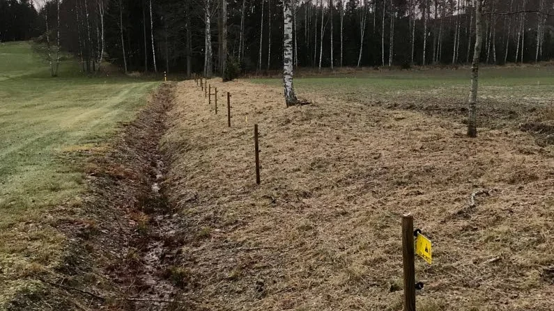 Här sätter golfklubben upp stängsel. Så småningom blir de el runt hela golfbanan.