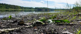 Tekniska verken miljösämst