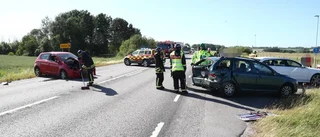 Person och hund vårdas efter olycka