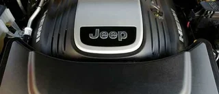 Jeep för Bush(en)