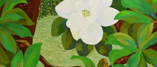 Mönster och magnolior utan enkel verklighet