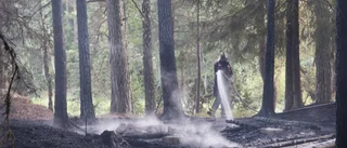 Grannarnas hjälteinsats räddade skogen