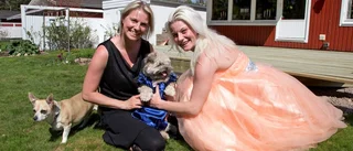 Anni dansar bal – med mamma