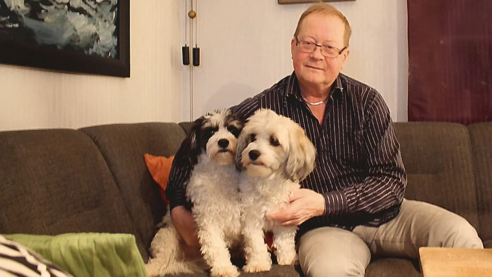 "Vi är väldigt snälla, söta och lovar att inte busa till det när vi ska gå över gatan med dig". Hundbröderna är tillgivna sin husse Jörgen Jeppsson, som nu söker hjälp.
