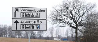 Vad blir kvar av Varamon?