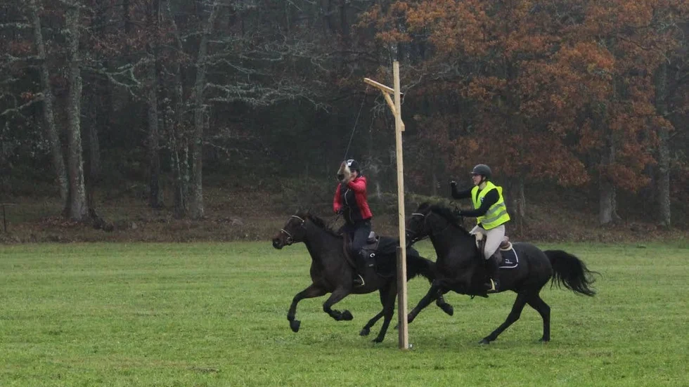 Emilia Lundin på May Sursprise (till vänster) griper rävsvansen i ponnyklassen, precis före Freja Valeskog på Ruthstown Rocky.