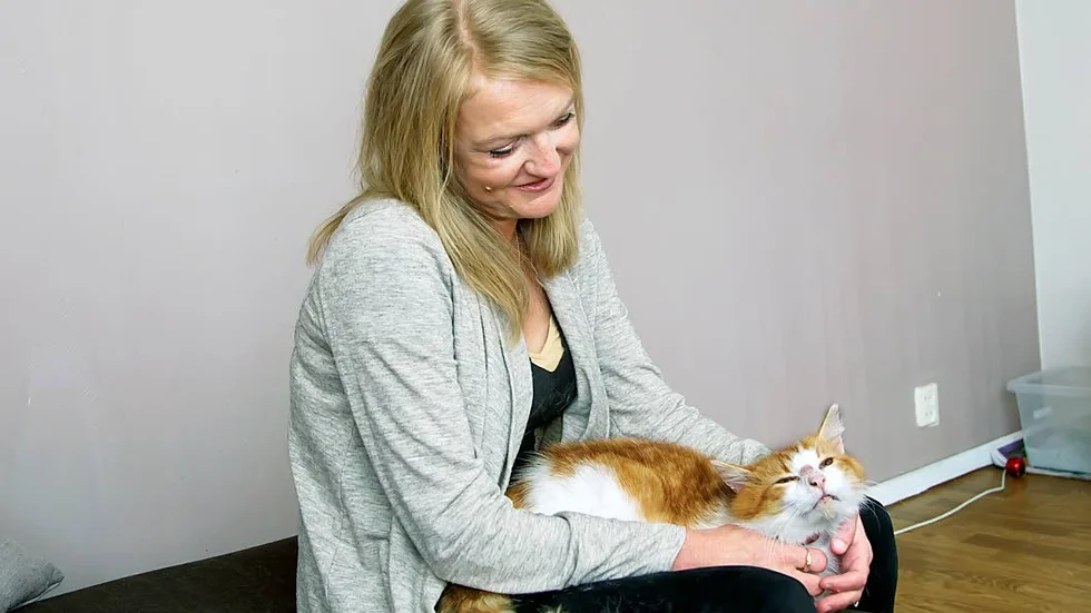 På bara fyra år har Tracy Lindh tagit hand och omplacerat 80 katter.