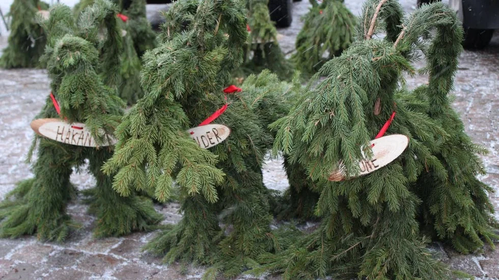 Varje julbock har fått ett eget namn.
