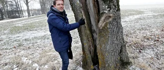 De vill rädda våra vägnära träd