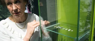 Det visas på nya Motala museum