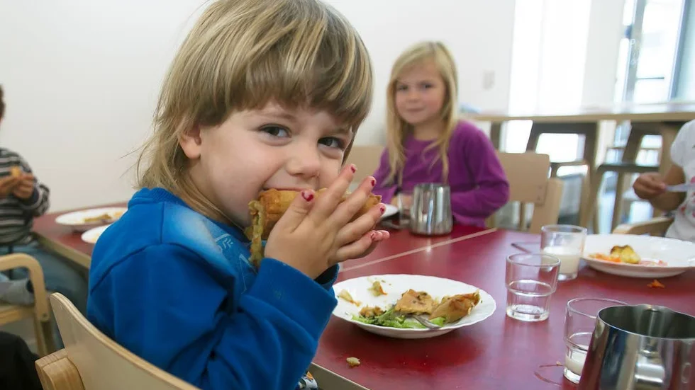 Vårrullar. Maten får tummen upp av Ellie, 4 år.