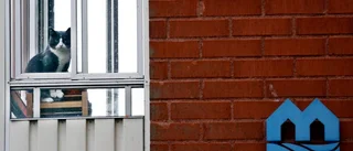 Sälj inte ut Platens bostäder
