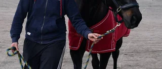 Hon ger travhästar en andra chans
