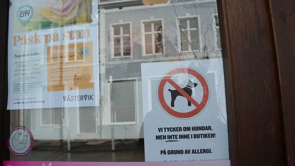 Före hundförbudet på Flash kom det ibland in kunder med sina hundar och Annie Thor berättar om en incident där en hund kräktes på golvet.