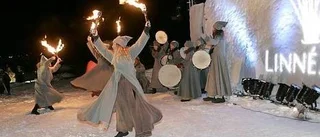 Iskallt mingel när Linnéåret firades ut