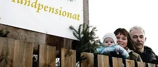 Julrush på Alunda Hundpensionat