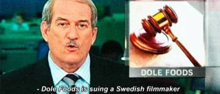 Bitvis andlöst spännande