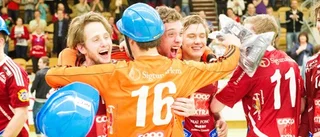 Skånela klart för elitserien