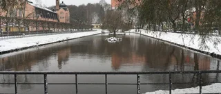 Svandammen kan bli skridskobana igen