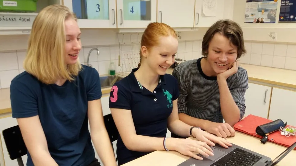 Alva Viberg, Jonna Larsson och Viktor Callert arbetade med  musikprogrammet för att ta fram musik som de gillade och på så sätt hjälpa forskarna.