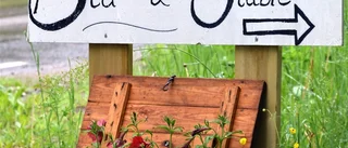 Sommarloppis – gårdens senaste satsning