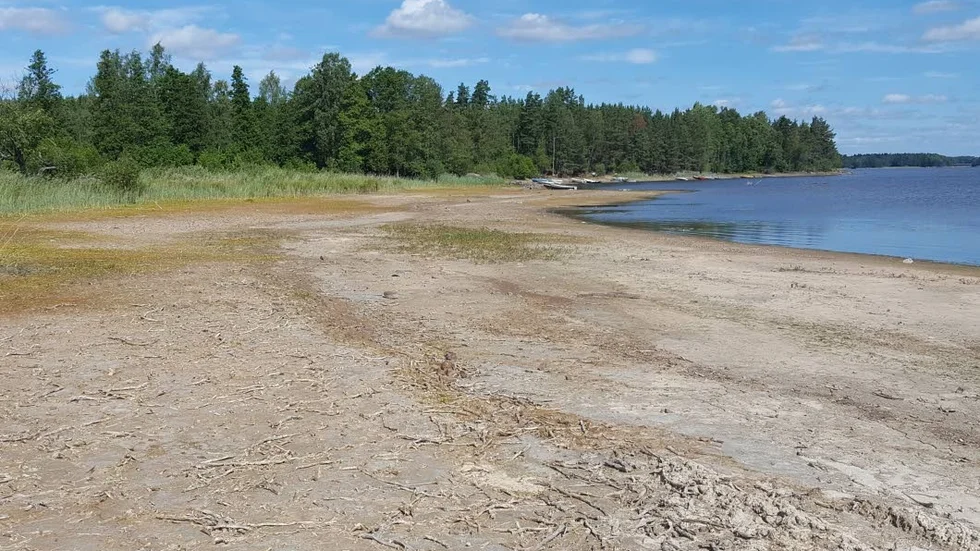 Yxern. Så här såg sjön ut i juli 2016. I dag är vattenståndet lägre. Sjunker nivån mer måste regleringsföretaget enligt vattendomen öppna dammluckorna, och släppa ut vattnet fortare.