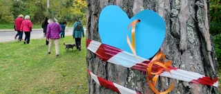 Här är Uppsalas spårvägslöften