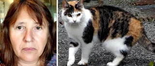 Två försvunna katter om dagen i länet