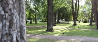 De bloggar mitt i Stadsträdgården