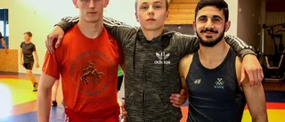 Brottartrio med guld i sikte