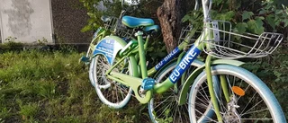 Nya fordonen här för att stanna