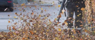 Miljövänligt, Uppsala kommun?