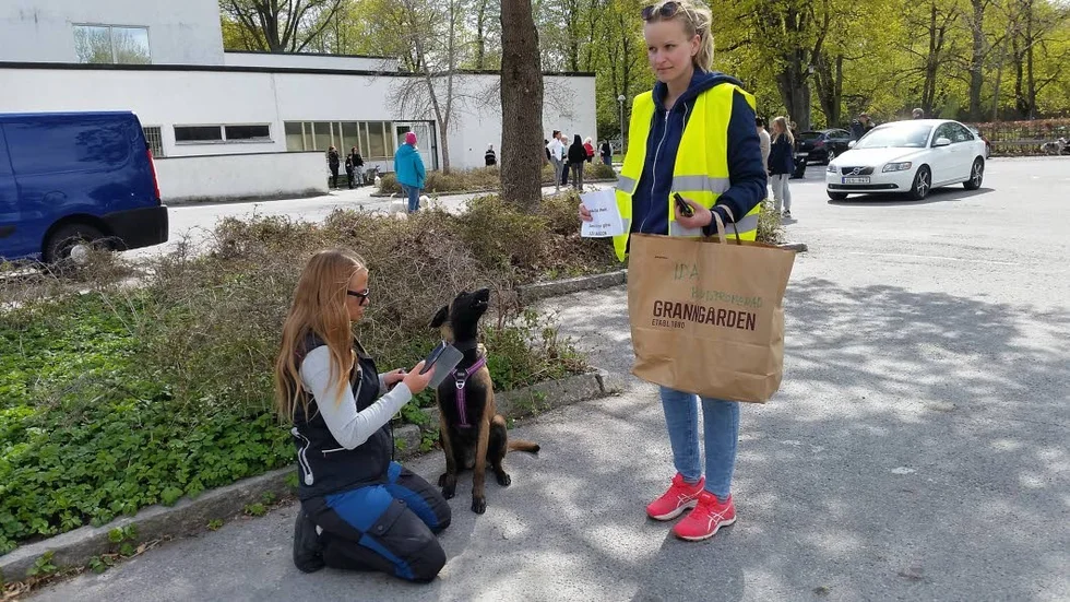 Matte Ida Granström swishar avgiften och belgiska vallhunden Impa, 9 månader, tittar förväntansfullt på Ida Nystedts kasse med godispåsar.