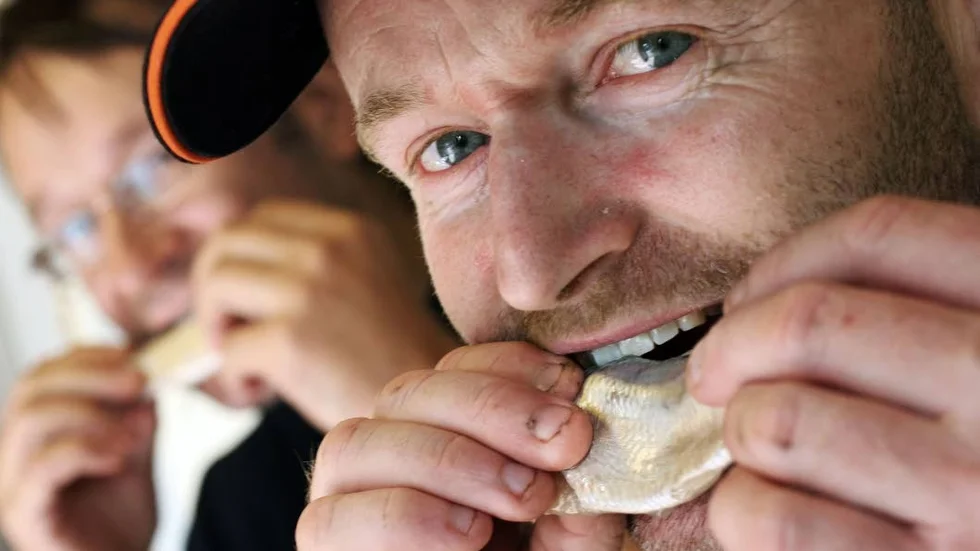 Glad. Lars-Ivan Hållstrand gör ett par tusen burkar surströmming varje år.