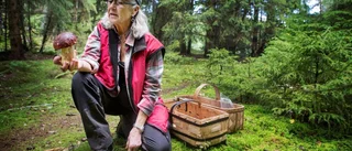 Så klarar du dig från magsjuka