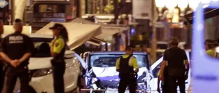 "Terrordåden kommer att bli färre"