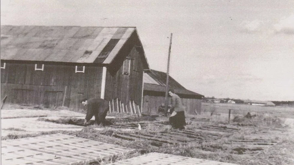Bänkar. Birgitta Jerpdals mamma och pappa i bänkgården 1948.