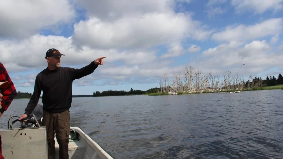 Skarvland. Kapten och fiskare Lars-Ivan Hållstrand pekar ut skarvarnas härjningar i Karlholmsbukten.