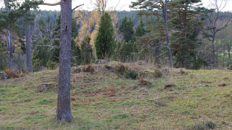 Fornlämning? Här kan det ligga en gravhög eller röse. Bilden tagen uppifrån stora röset vid Högsveden.