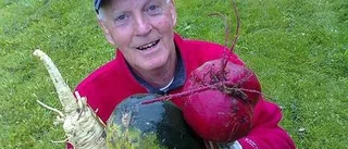 Odlarglädje i skördetid