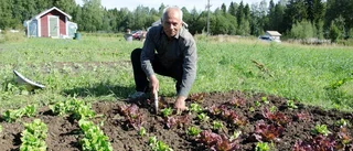 De lär sig vad som går odla i norr
