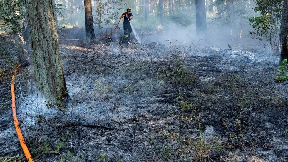Kalix kommun vill starta en utbildning för släckningsarbete.