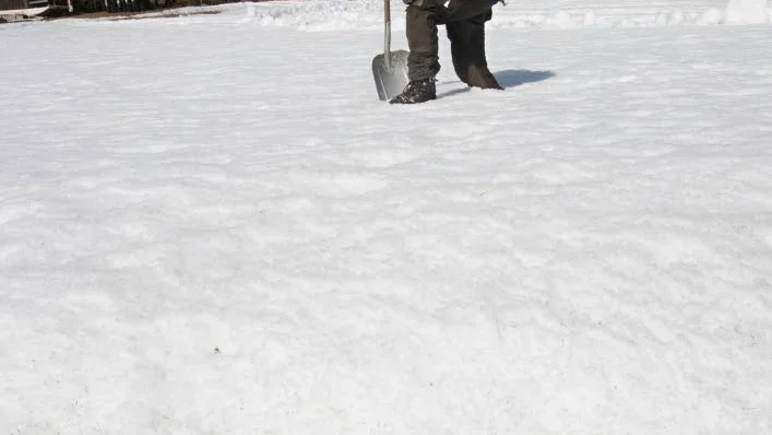 MYCKET SNÖ. För sex år sedan låg redan sättpotatisen i jorden på det här landet. Nu ligger istället ett 37 centimeter tjockt snölager här.